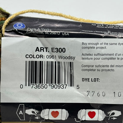 Red Heart Variegated Pre-Loved Yarn