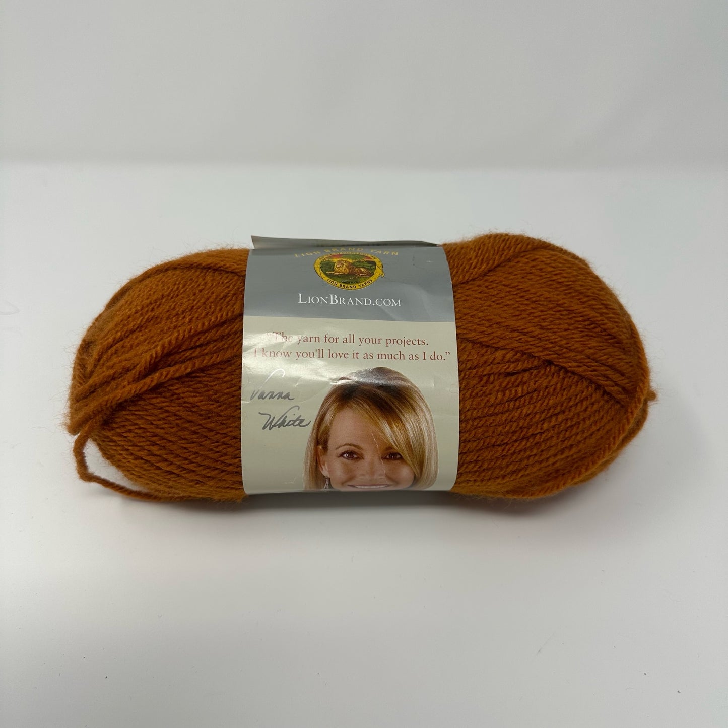 Lion Brand Yarns Vanna’s Choice Medium Worsted Weight Yarn Acrylic 3.5 oz